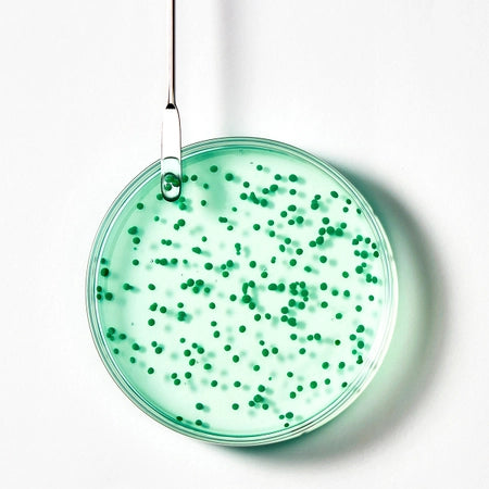 Forticea Stimulating Shampoo