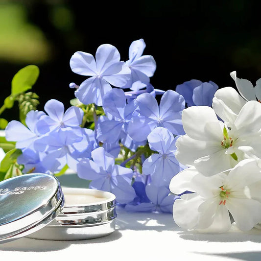 White Moss Aftershave