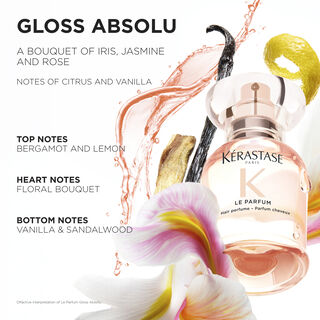 Le Parfum Hair Perfume