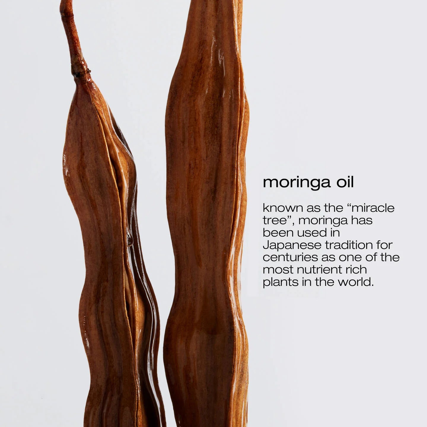 Urban Moisture haircare bundle